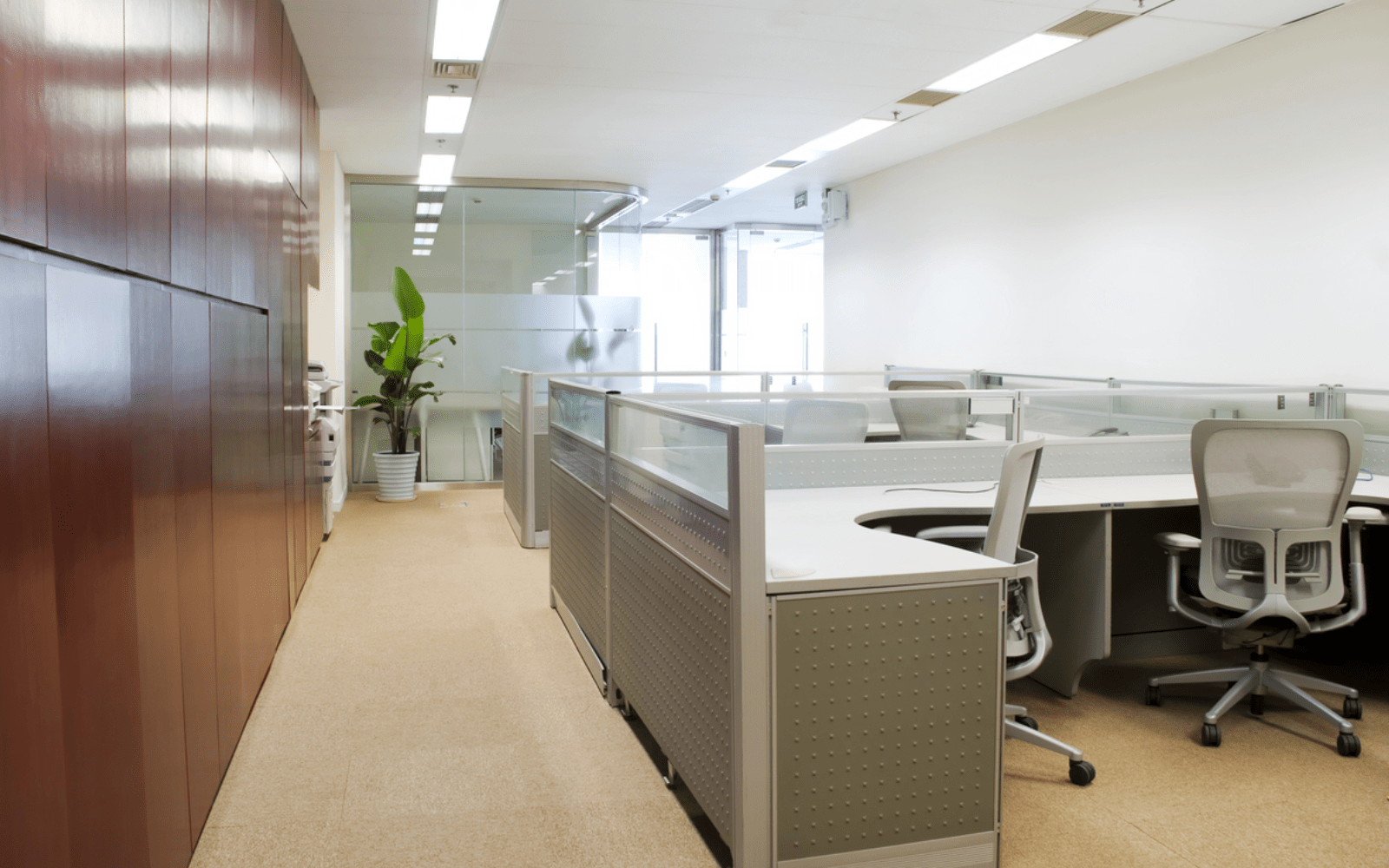 Office Cleaning